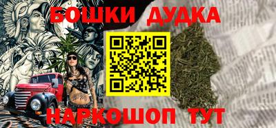 молекула духа Будённовск