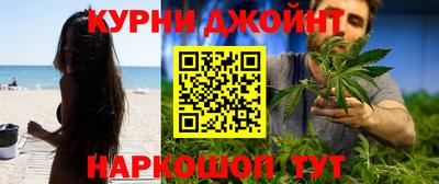 молекула духа Будённовск