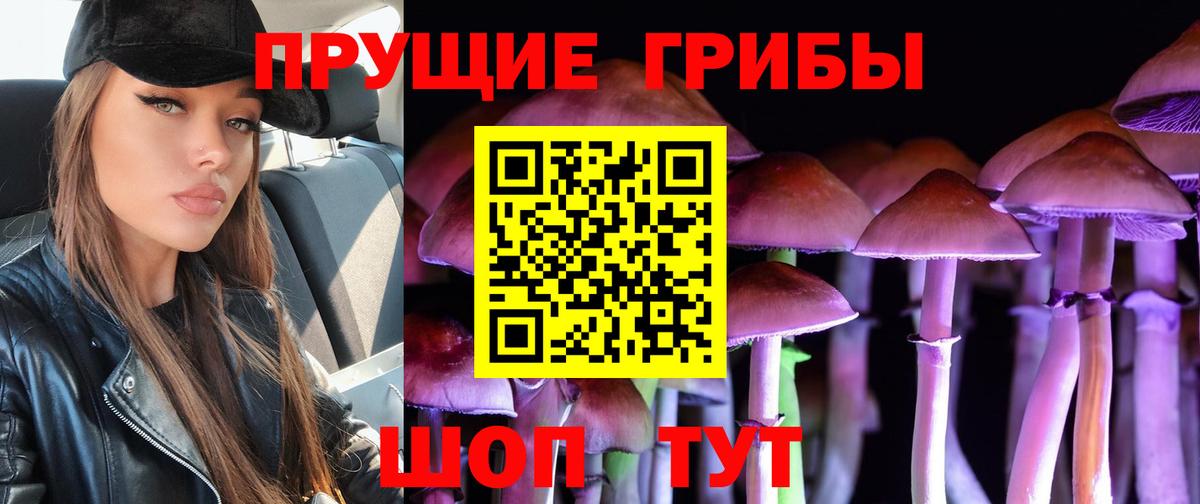 где продают   Псилоцибиновые грибы GOLDEN TEACHER  Вход с VPN  Псилоцибиновые грибы ЛСД  Салехард 